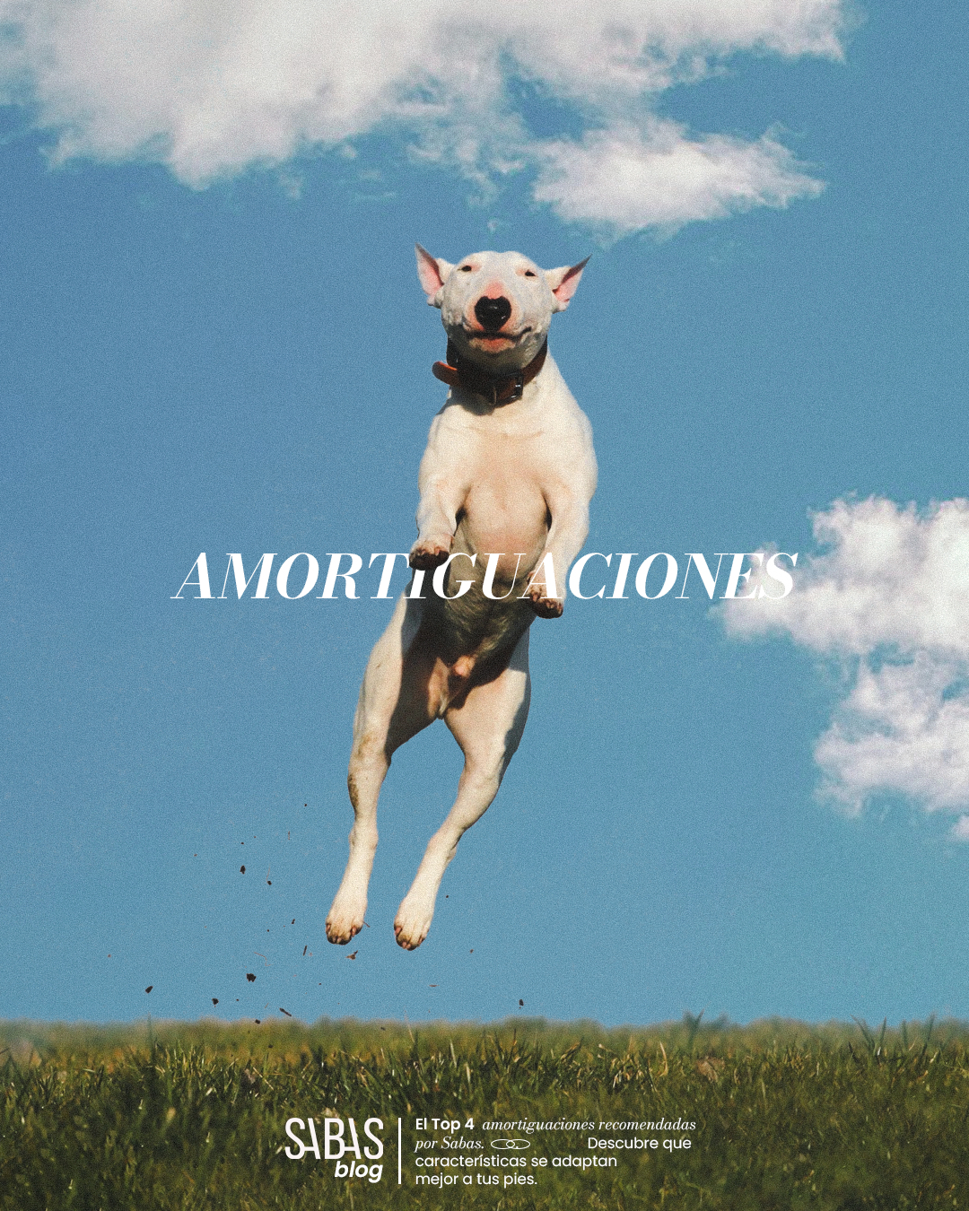 Amortiguaciones, pros y contras para una buena pisada