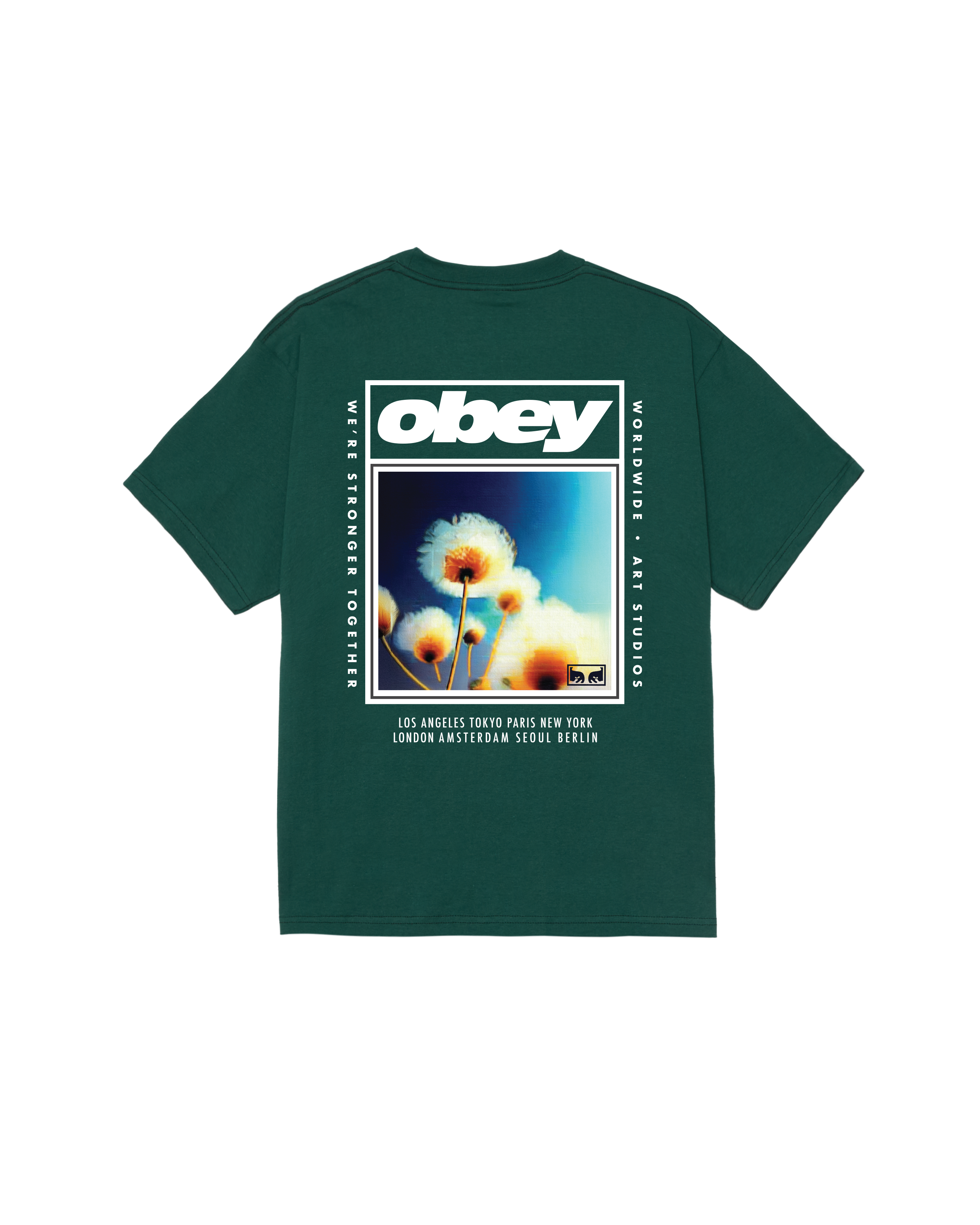 OBEY CLOTHING STRONGER TOGETHER RAIN FOREST 165264442-RFR