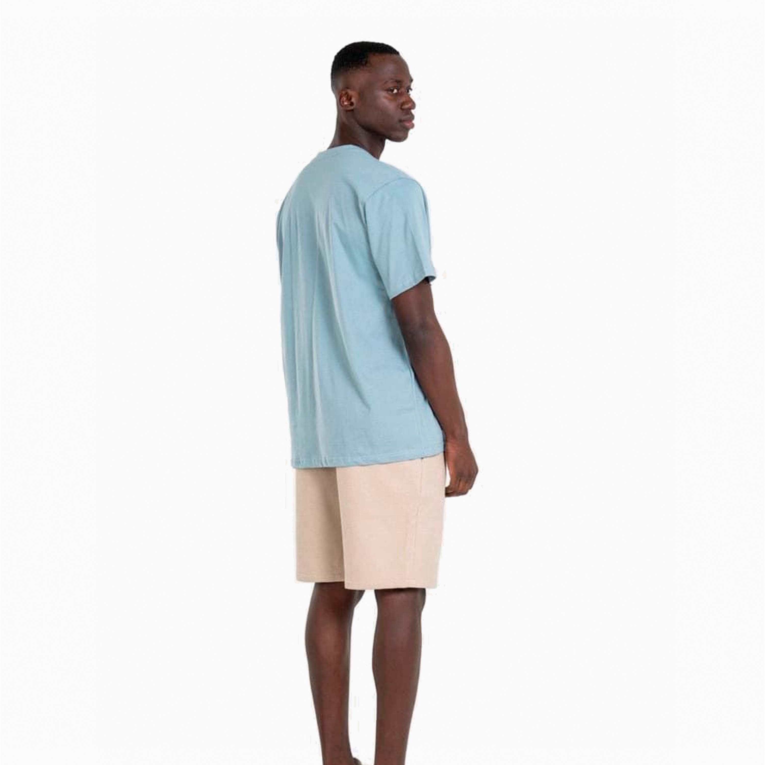 T-SHIRT LOGO REELL STAPLE AZUL MAP