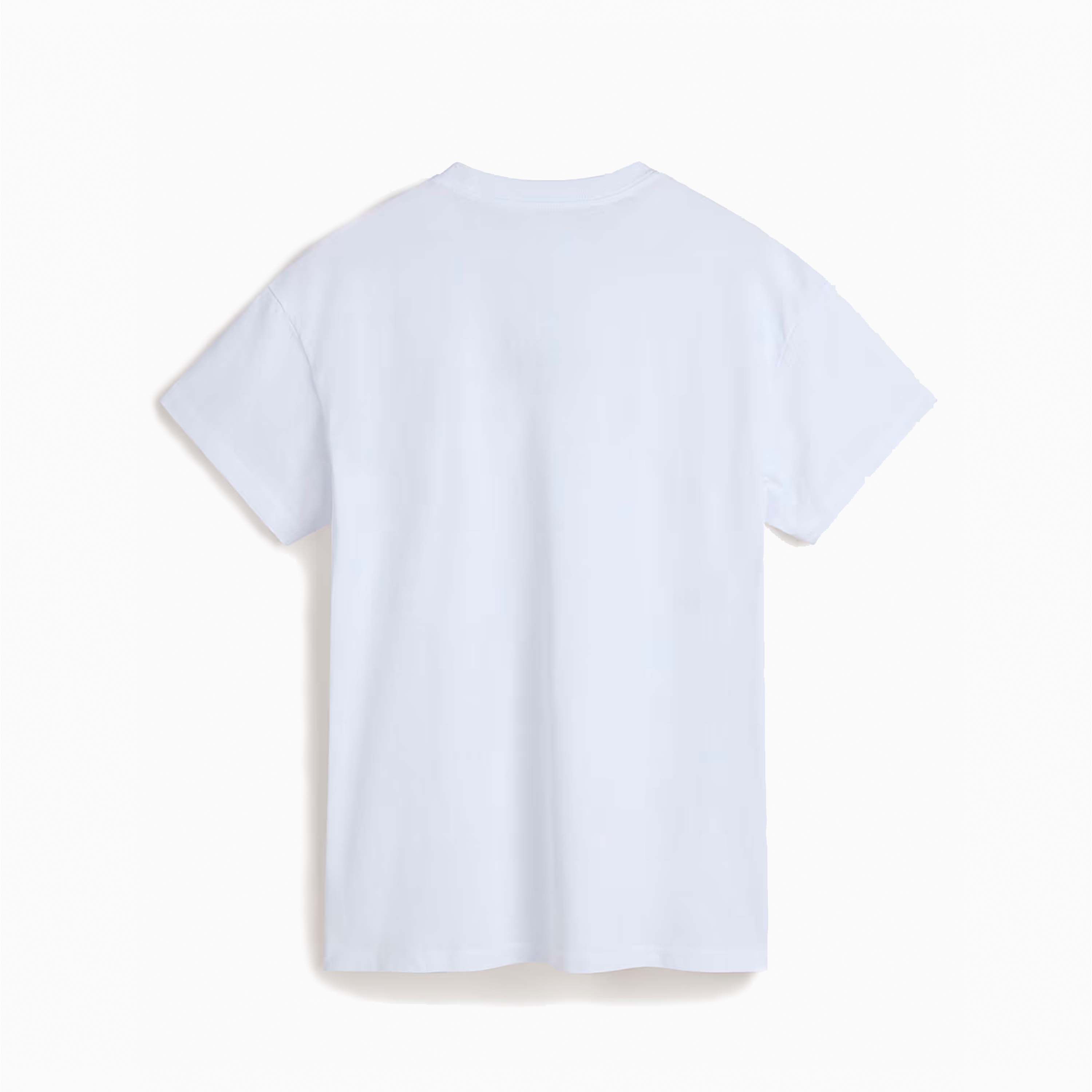 VANS FLYING V OVERSIZED WHITE VN0A7YUTWHT