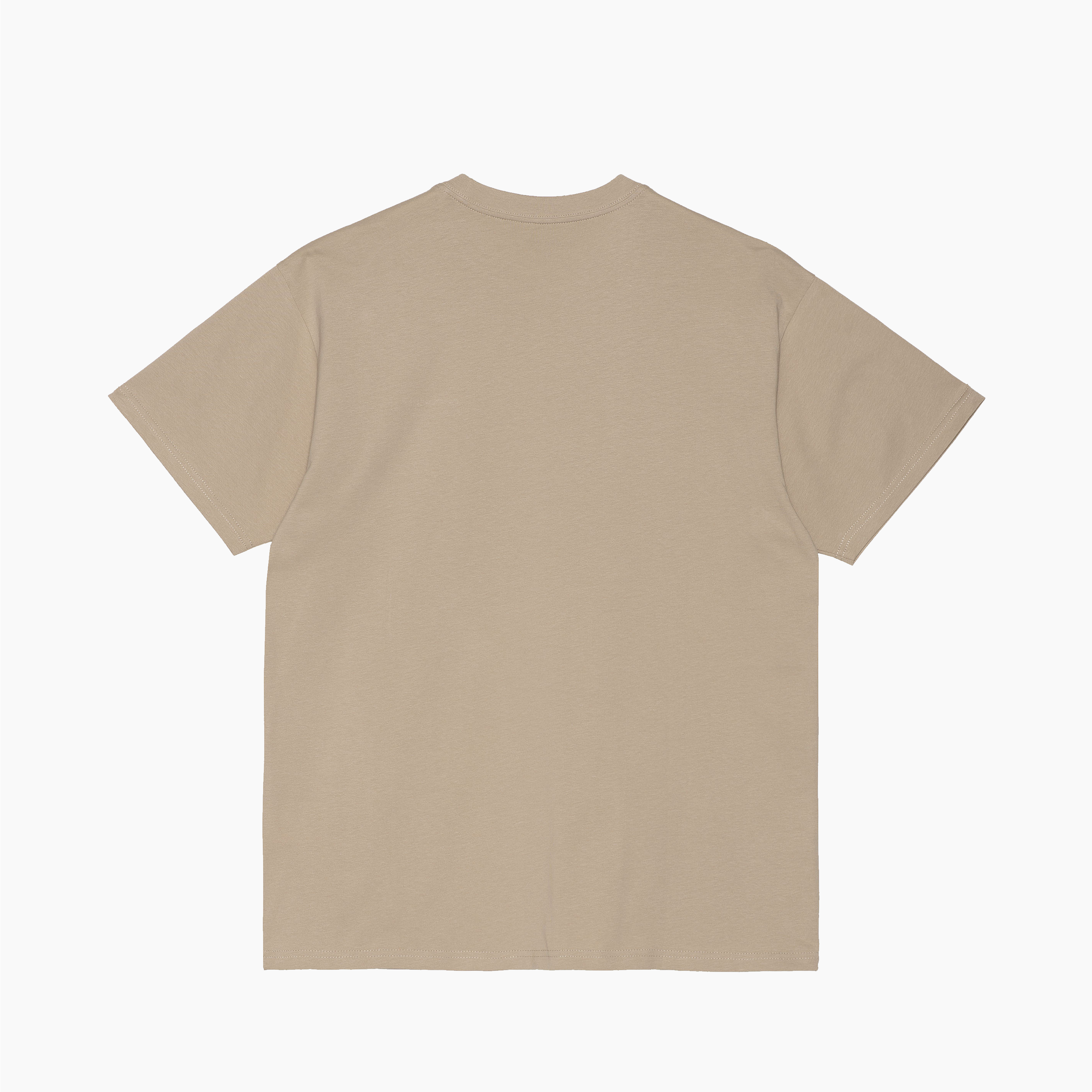 CARHARTT WIP SCRIPT EMBROIDERY T-SHIRT WALL & BLACK - I030435