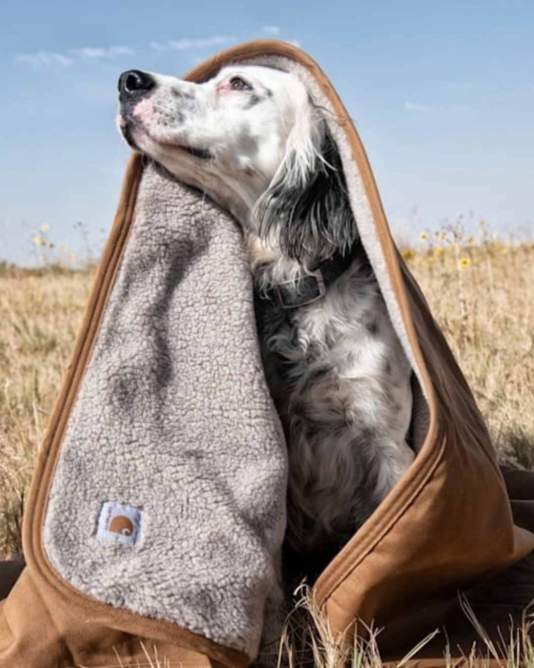 Carhartt Wip SS23 en Sabas Shop