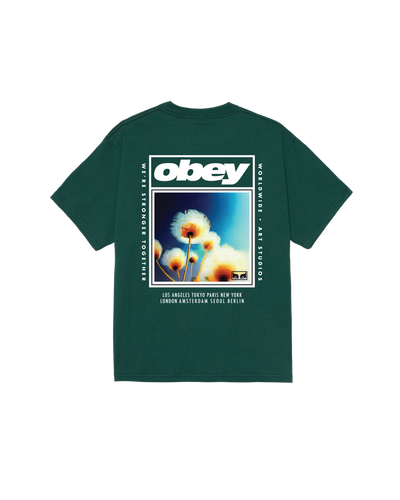 OBEY CLOTHING STRONGER TOGETHER RAIN FOREST 165264442-RFR