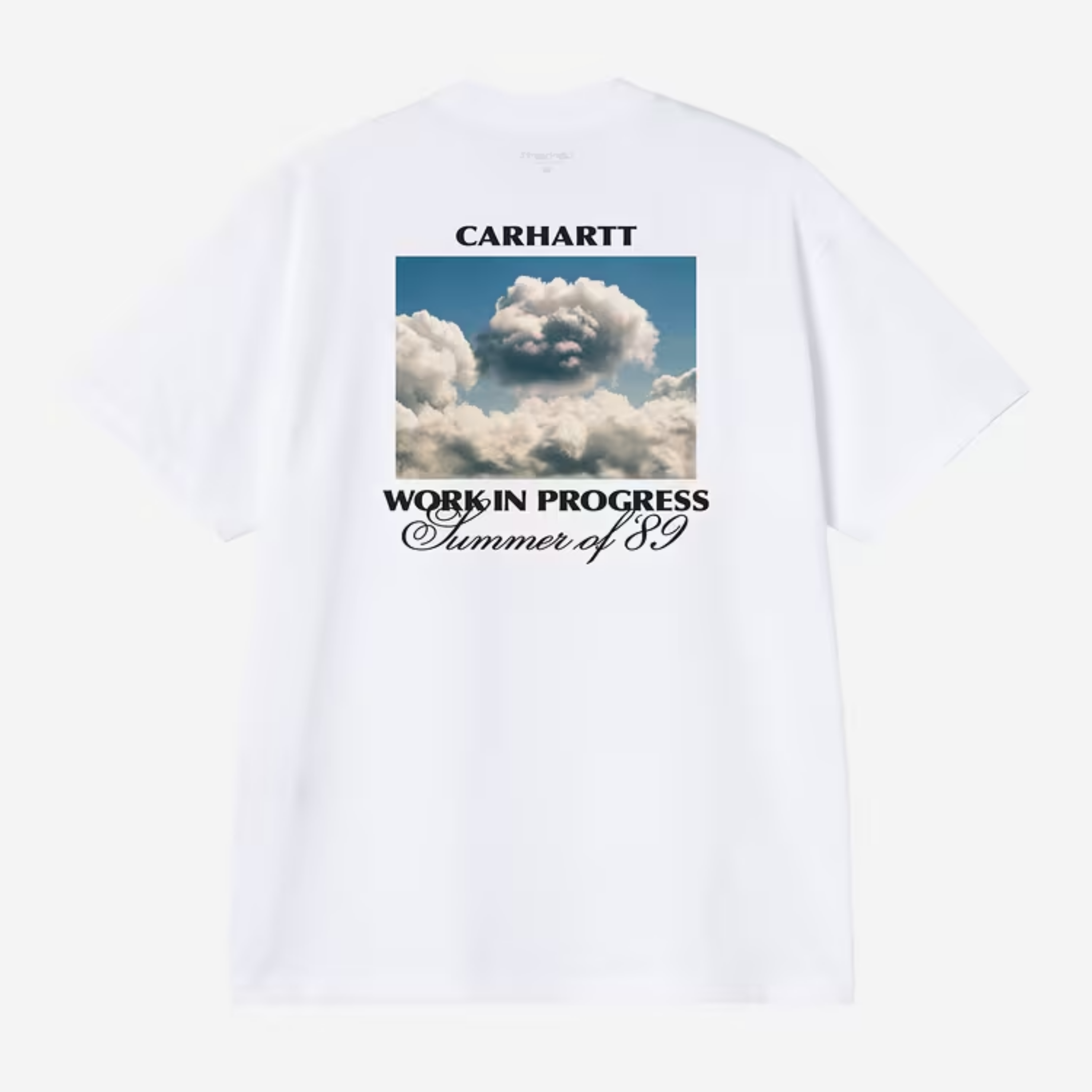 CARHARTT WIP WARM VIEWS T-SHIRT WHITE I036246-02