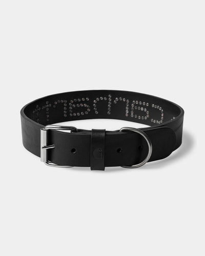CARHARTT WIP SCRIPT STUDS DOG COLLAR BLACK M/L I037387.4BH