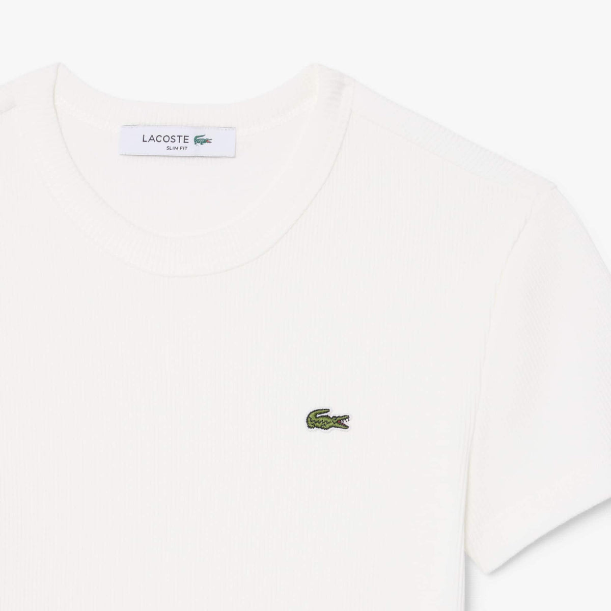 LACOSTE CAMISETA DE CANALÉ DE ALGODÓN ORGÁNICO CORTE AJUSTADO FARINE TF5538